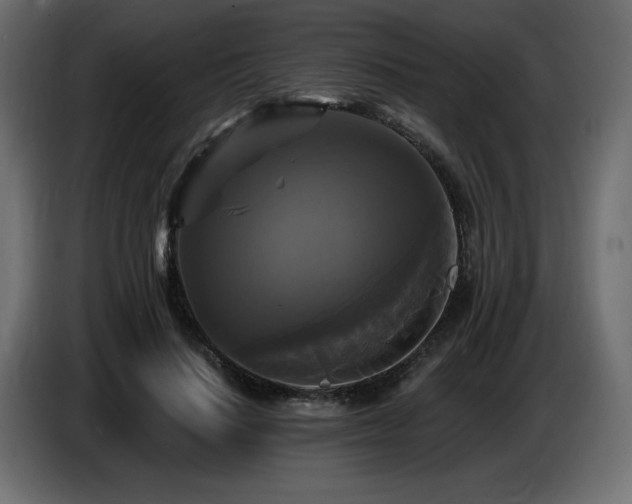 X0000086730644200704131107