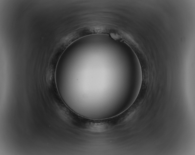 X0000086730645200704131107