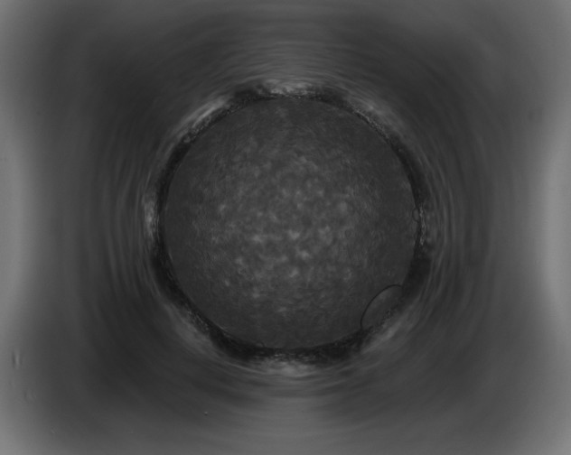 X0000086730648200704131107