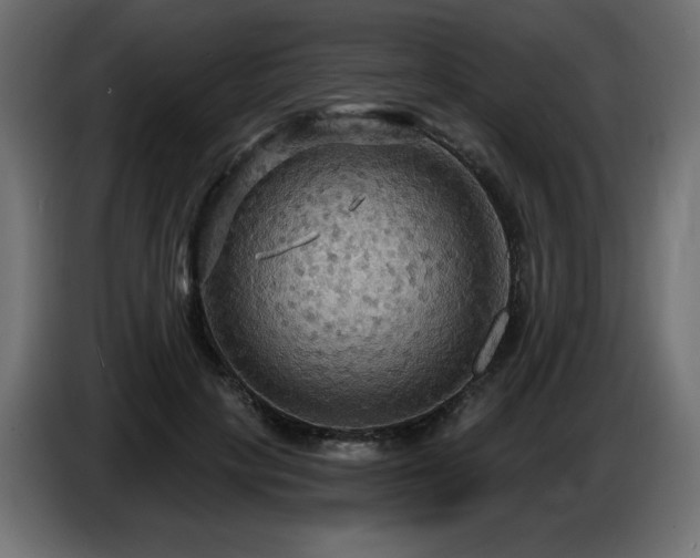 X0000086730649200704131107