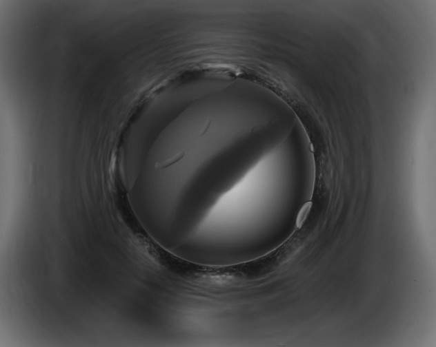 X0000086730650200704131107