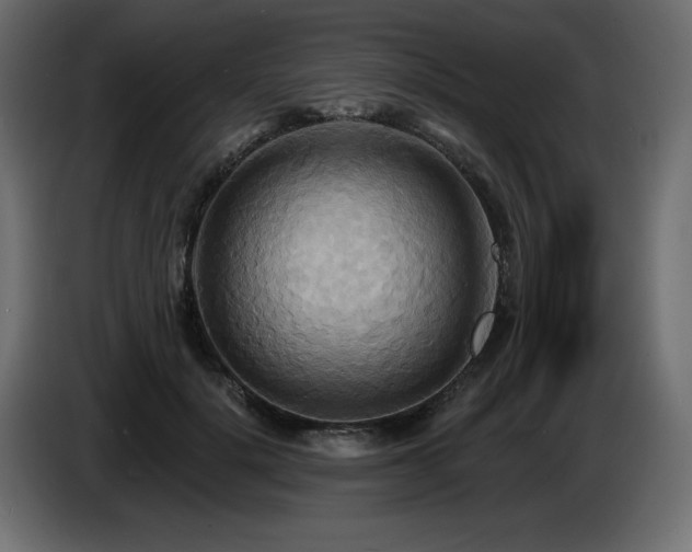 X0000086730652200704131107
