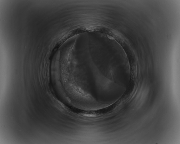 X0000086730653200704131107