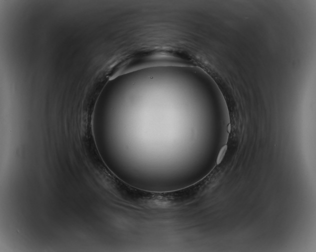 X0000086730656200704131107