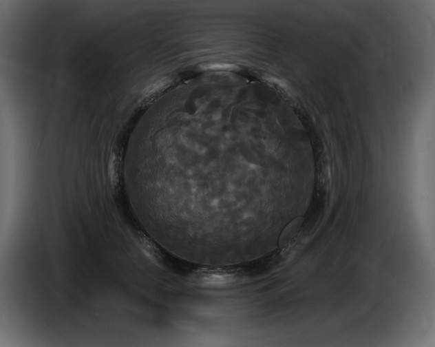 X0000086730658200704131107