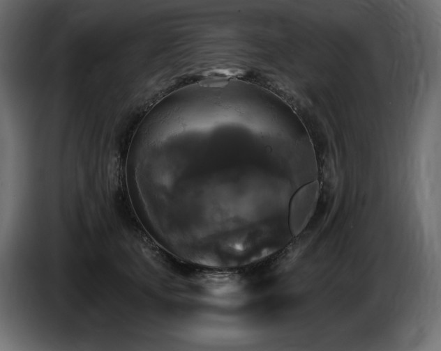 X0000086730659200704131107