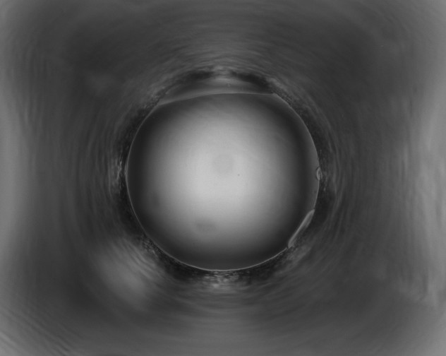 X0000086730660200704131107