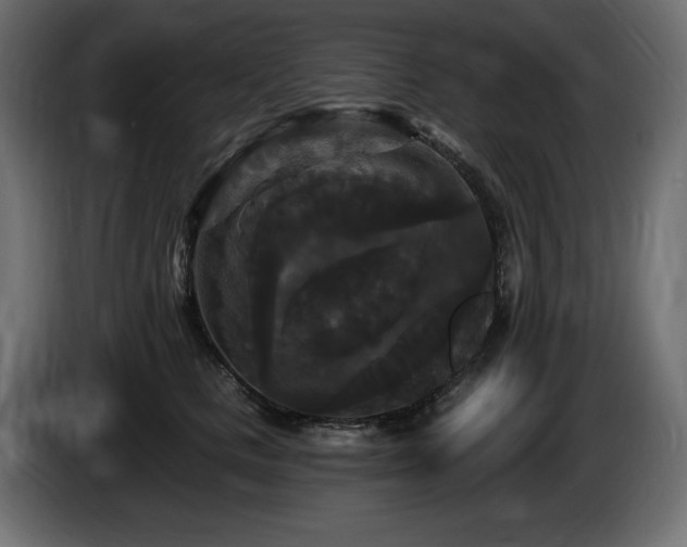 X0000086730661200704131107