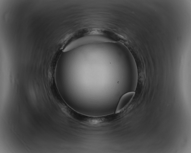 X0000086730662200704131107
