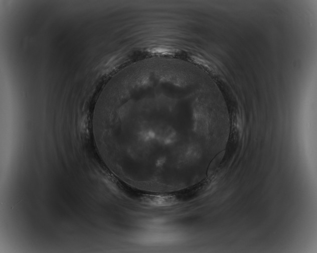 X0000086730663200704131107