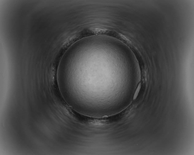 X0000086730664200704131108