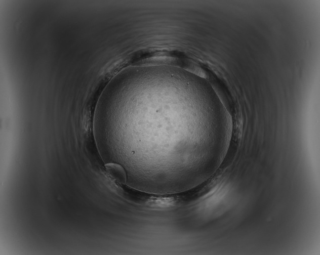 X0000086730665200704131108