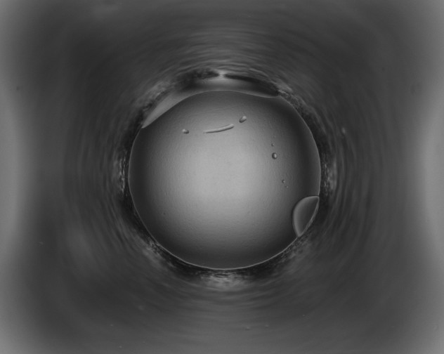 X0000086730666200704131108