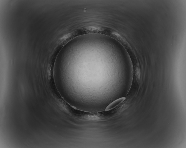 X0000086730668200704131108