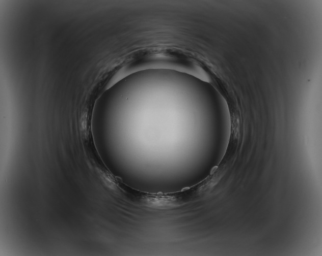 X0000086730670200704131108