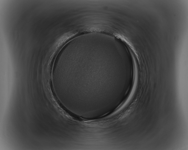 X0000086730673200704131107