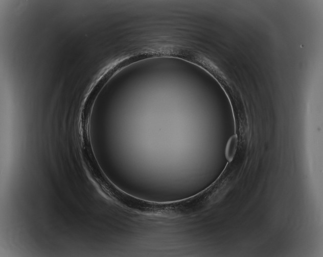 X0000086730674200704131107