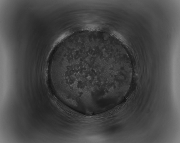 X0000086730679200704131107