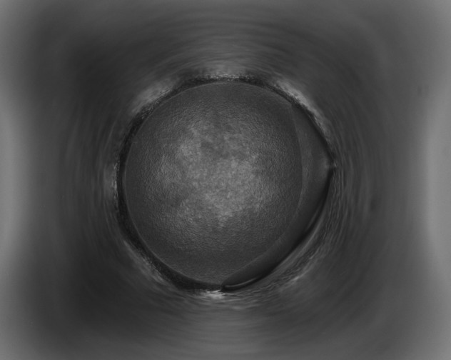 X0000086730681200704131107