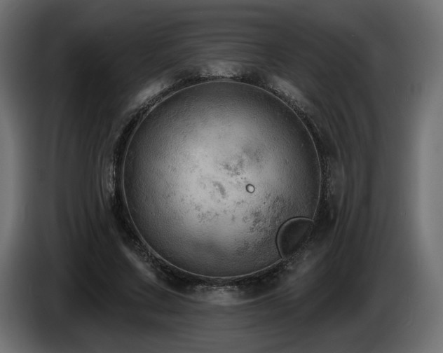 X0000086730683200704131107