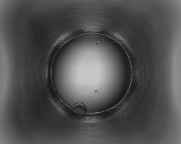 X0000086730686200704131107