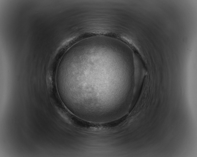 X0000086730688200704131107