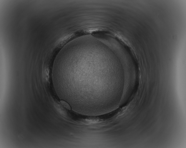 X0000086730693200704131107