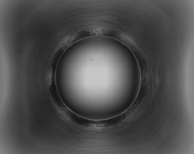 X0000086730694200704131107