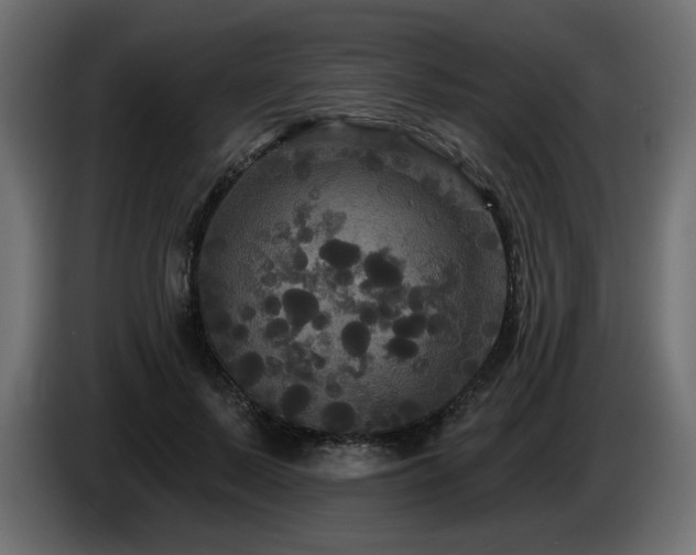 X0000086730695200704131107