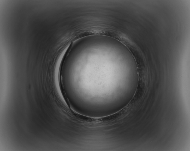 X0000086730696200704131107