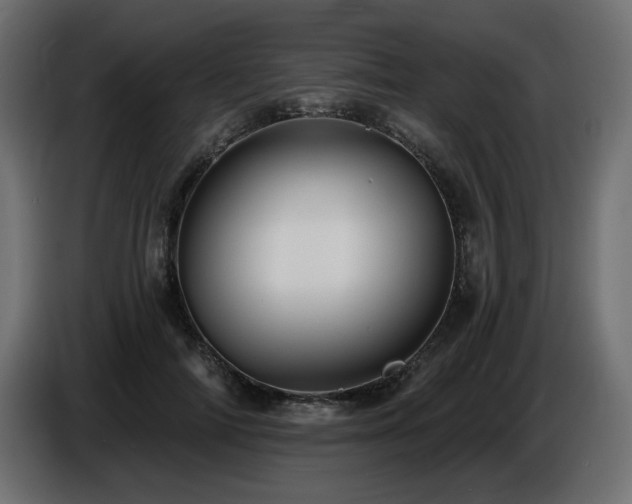 X0000086730698200704131107