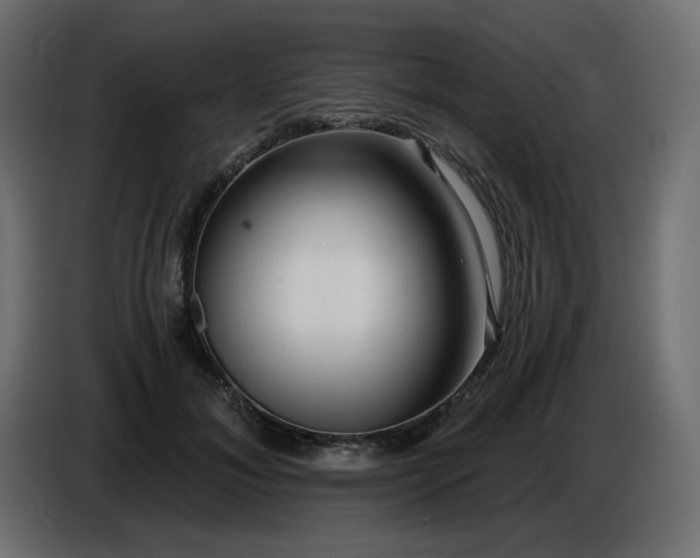 X0000086730700200704131107