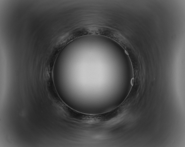 X0000086730702200704131107