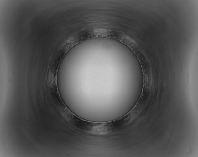 X0000086730705200704131106