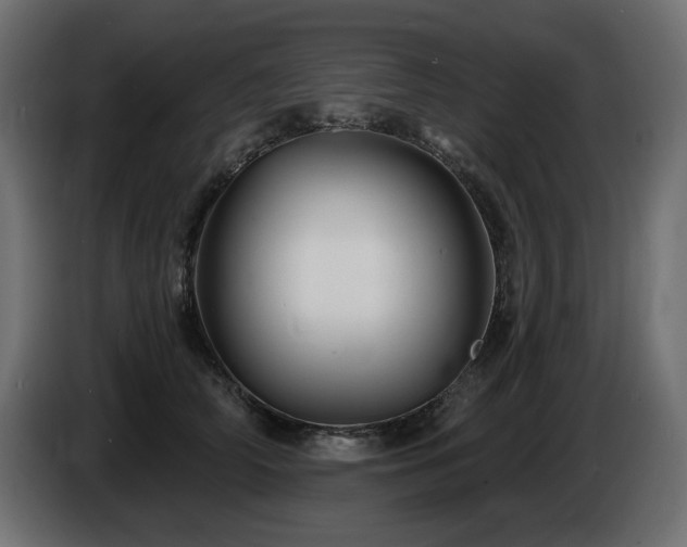 X0000086730706200704131106
