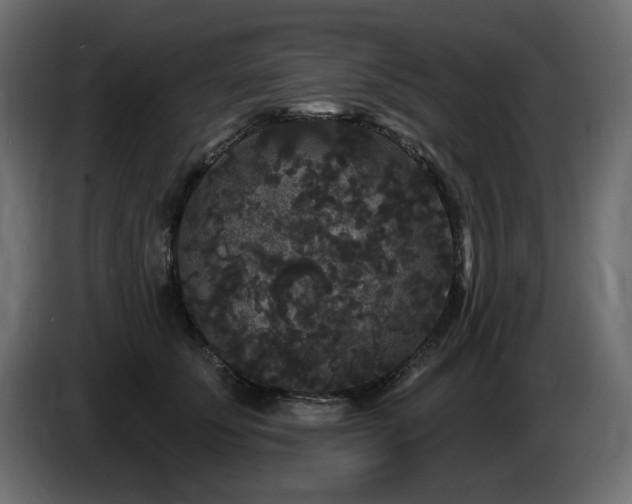 X0000086730707200704131106