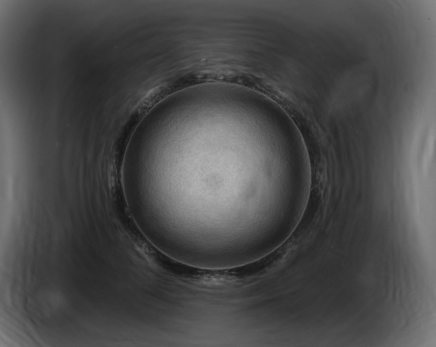 X0000086730708200704131106