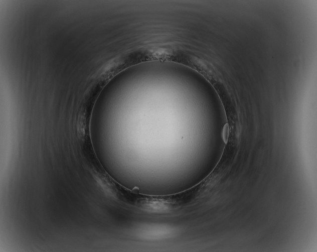X0000086730710200704131106