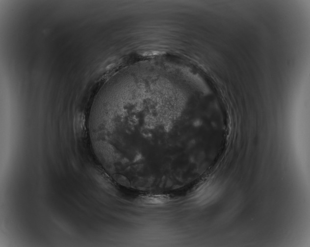 X0000086730711200704131106