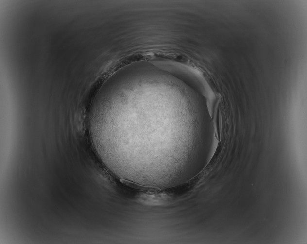 X0000086730712200704131106