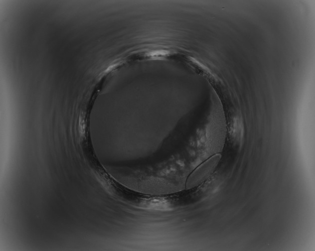 X0000086730715200704131106