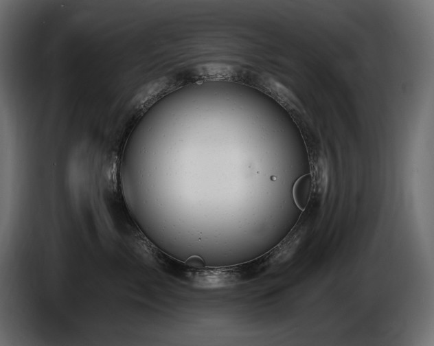 X0000086730717200704131106