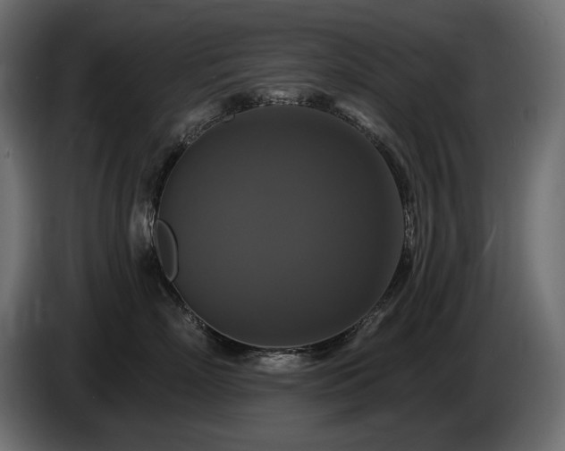 X0000086730718200704131106