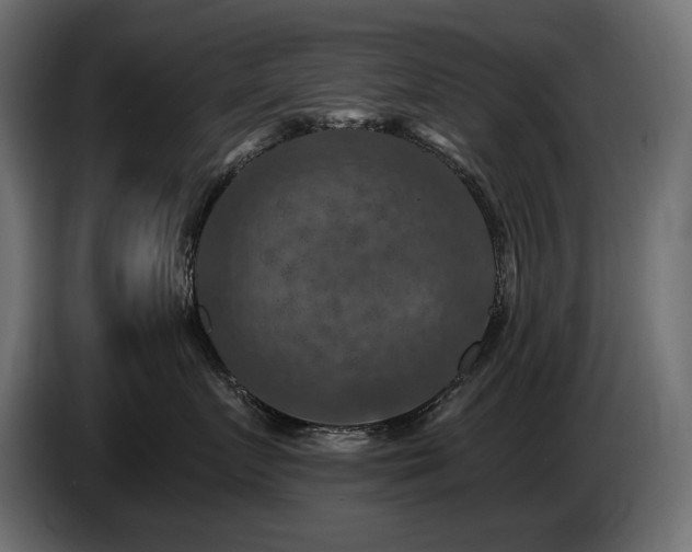 X0000086730719200704131106