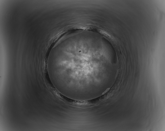 X0000086730720200704131106