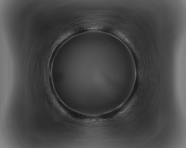 X0000086730721200704131106