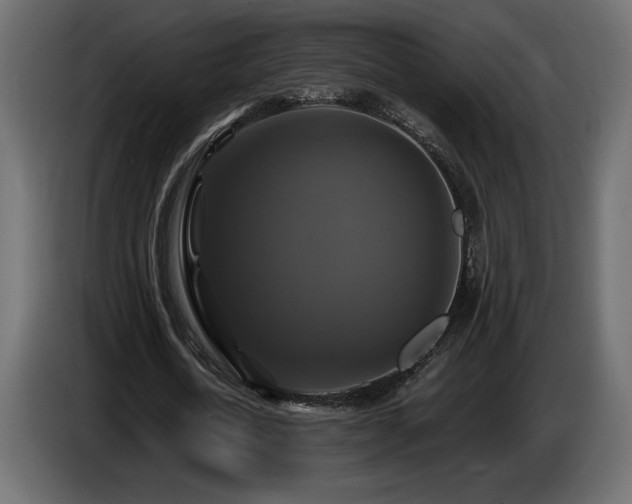 X0000086730722200704131106