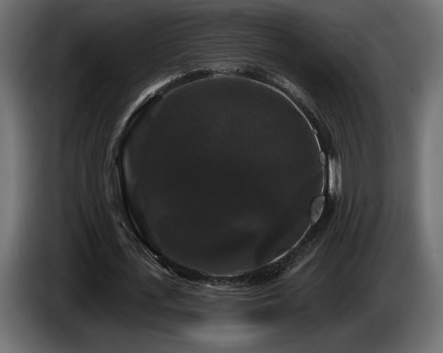 X0000086730723200704131106