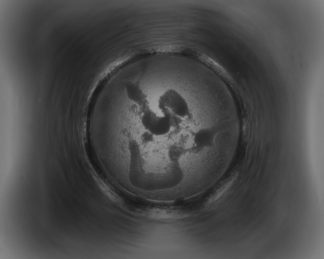 X0000086730725200704131106