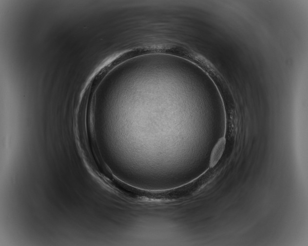X0000086730726200704131106